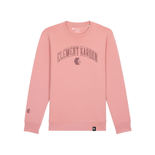 Tonal Varsity Medium Fit Sweatshirt Pink